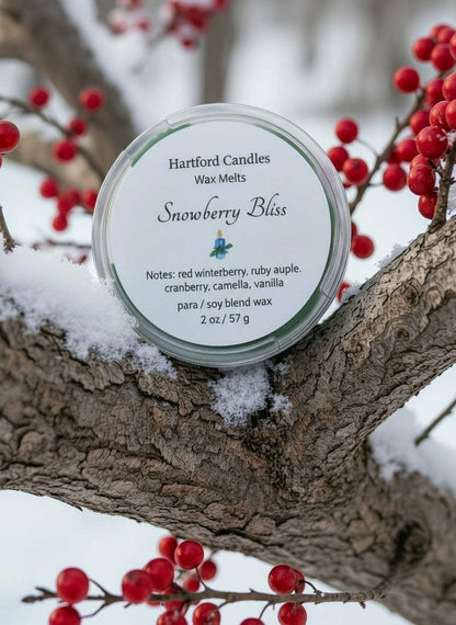 Snowberry Bliss 2oz Wax Melts